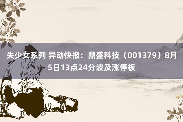 失少女系列 异动快报:鼎盛科技(001379)8月5日13点24分波及涨停板