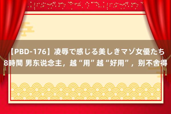 【PBD-176】凌辱で感じる美しきマゾ女優たち8時間 男东说念主,越“用”越“好用”,别不舍得