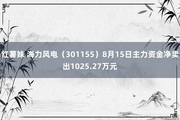 红薯妹 海力风电(301155)8月15日主力资金净卖出1025.27万元