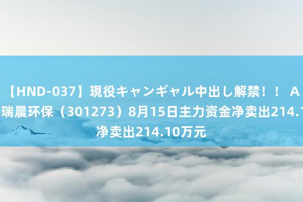【HND-037】現役キャンギャル中出し解禁!! ASUKA 瑞晨环保(301273)8月15日主力资金净卖出214.10万元