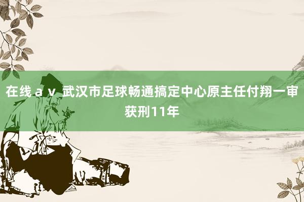 在线av 武汉市足球畅通搞定中心原主任付翔一审获刑11年