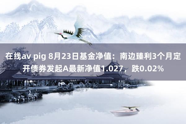 在线av pig 8月23日基金净值:南边臻利3个月定开债券发起A最新净值1.027,跌0.02%