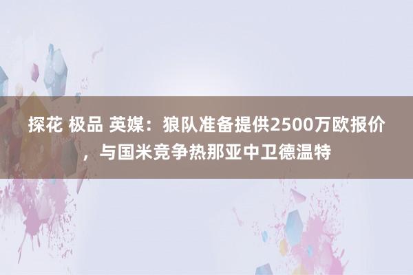 探花 极品 英媒:狼队准备提供2500万欧报价,与国米竞争热那亚中卫德温特