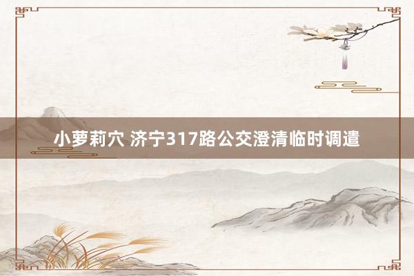 小萝莉穴 济宁317路公交澄清临时调遣