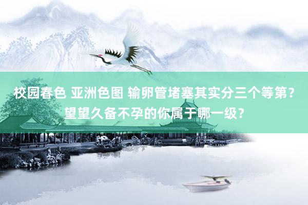 校园春色 亚洲色图 输卵管堵塞其实分三个等第?望望久备不孕的你属于哪一级?