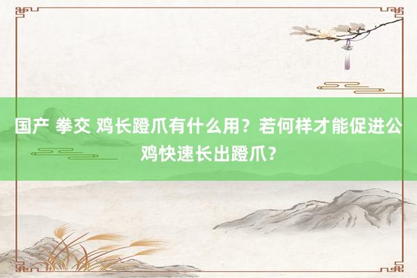 国产 拳交 鸡长蹬爪有什么用?若何样才能促进公鸡快速长出蹬爪?