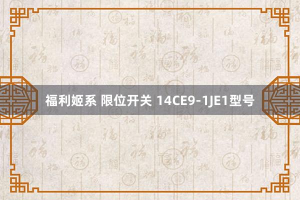 福利姬系 限位开关 14CE9-1JE1型号