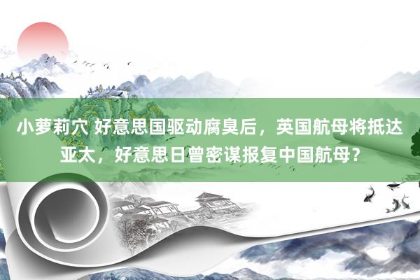 小萝莉穴 好意思国驱动腐臭后,英国航母将抵达亚太,好意思日曾密谋报复中国航母?