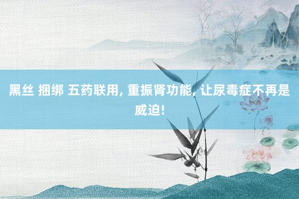 黑丝 捆绑 五药联用, 重振肾功能, 让尿毒症不再是威迫!
