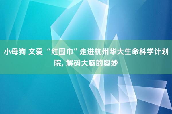 小母狗 文爱 “红围巾”走进杭州华大生命科学计划院, 解码大脑的奥妙