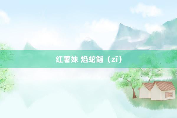 红薯妹 焰蛇鲻(zī)