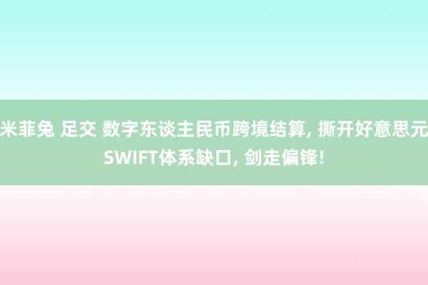 米菲兔 足交 数字东谈主民币跨境结算, 撕开好意思元SWIFT体系缺口, 剑走偏锋!