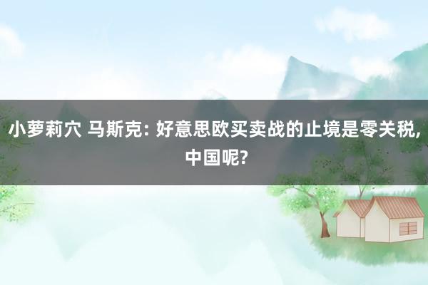 小萝莉穴 马斯克: 好意思欧买卖战的止境是零关税, 中国呢?