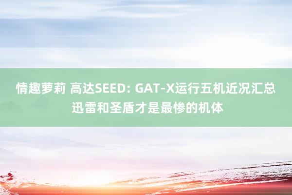 情趣萝莉 高达SEED: GAT-X运行五机近况汇总 迅雷和圣盾才是最惨的机体
