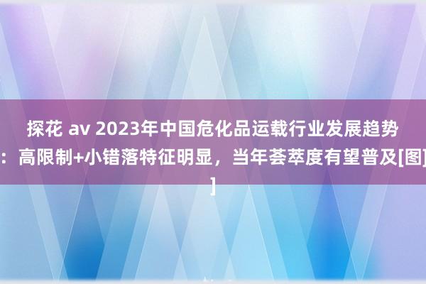 探花 av 2023年中国危化品运载行业发展趋势：高限制+小错落特征明显，当年荟萃度有望普及[图]