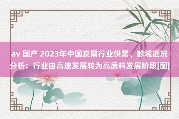 av 国产 2023年中国炭黑行业供需、畛域近况分析：行业由高速发展转为高质料发展阶段[图]