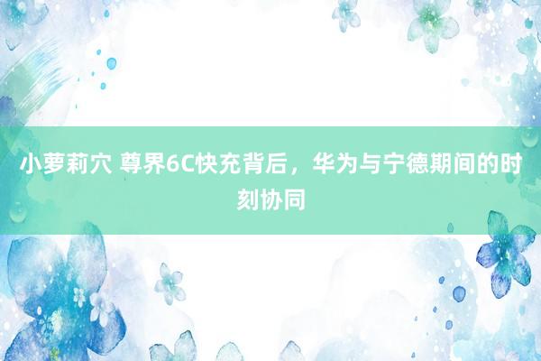 小萝莉穴 尊界6C快充背后，华为与宁德期间的时刻协同